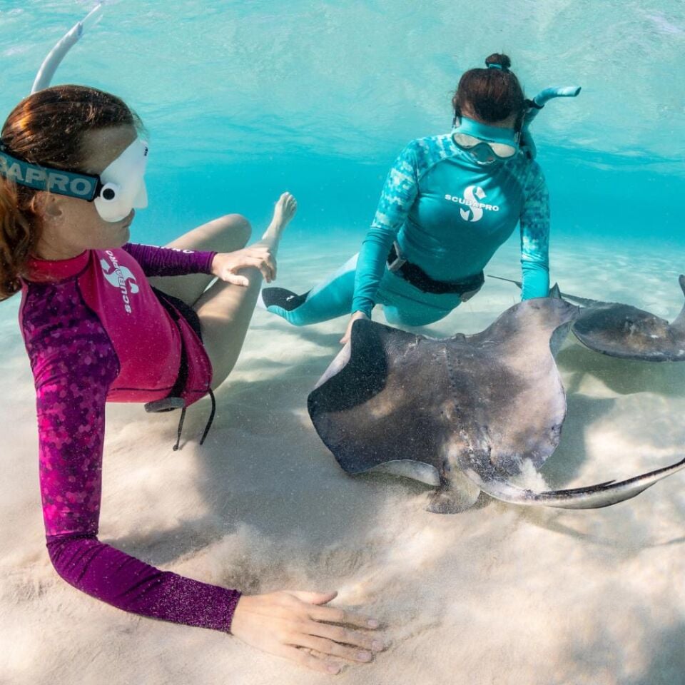 Trinidad 3 Dalış Maskesi Turkuaz