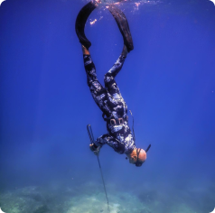 Zıpkın & Serbest Dalış