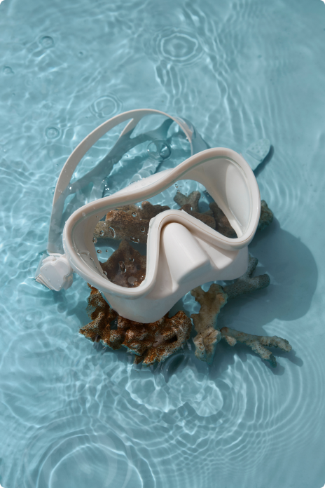 Dalış Aksesuarlarında Kaçırılmayacak İndirimler!